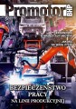 Promotor BHP | nr 11/2019
