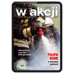 W Akcji | nr 1/2022 [pdf]     