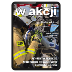 W Akcji | nr 2/2022 [pdf]     