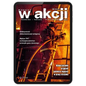 W Akcji | nr 4/2021 [pdf]