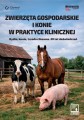 Zwierzęta gospodarskie i konie w praktyce klinicznej. Bydło, konie, trzoda chlewna. 20 lat doświadczeń