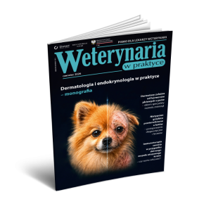 Weterynaria w Praktyce | Dermatologia i endokrynologia w praktyce - monografia 2026