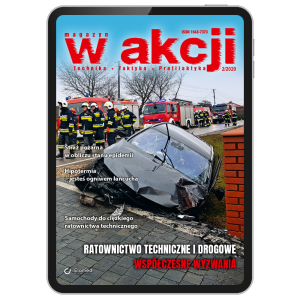 W Akcji | nr 2/2020 [pdf]