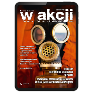 W Akcji | nr 4/2020 [pdf]