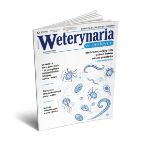Weterynaria w Praktyce | Wybrane parazytozy psów i kotów okiem praktyka – monografia 2026